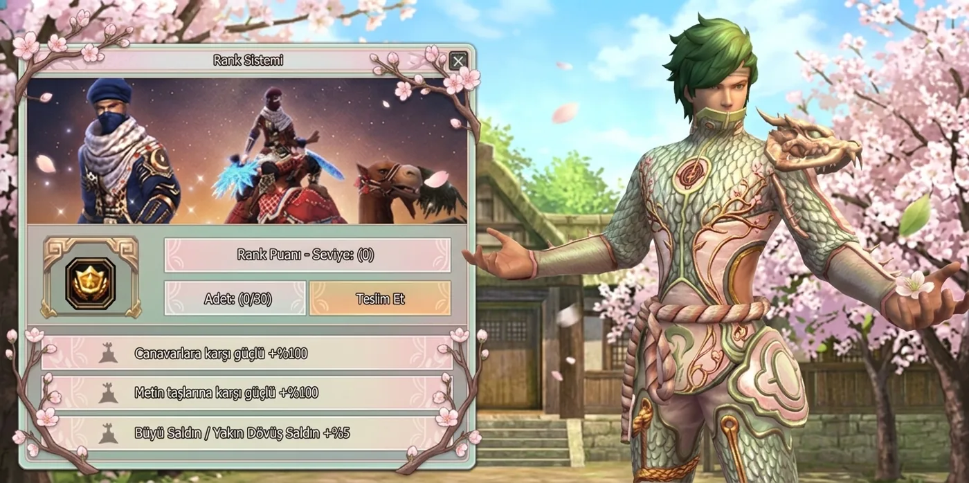 Rank System